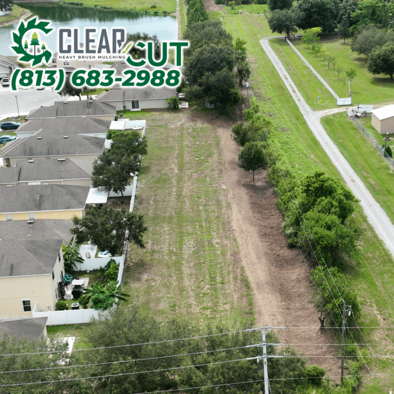 22-After-Clear-Cut-Heavy-Brush-Mulching-HOA-Cutbacks-Sarasota-Florida