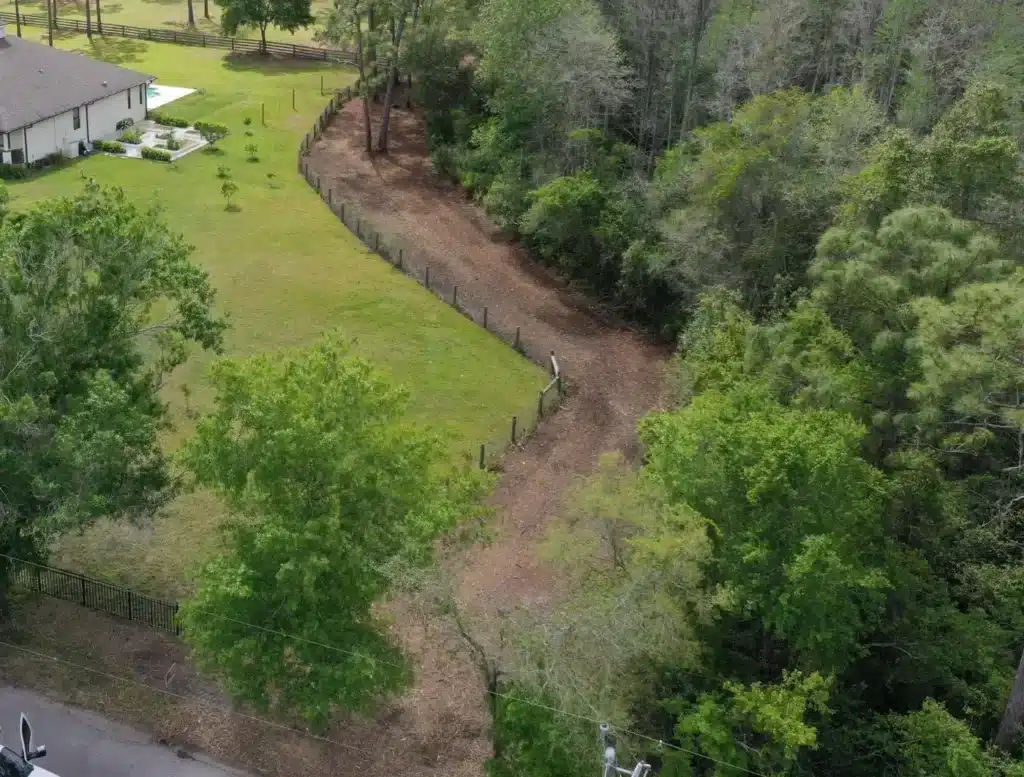 Clear Cut Heavy Brush Mulching cleared a mulched fenceline strip along a wooded property boundary near a Tampa, FL home with a pool